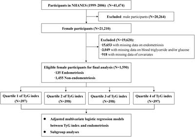 Association between triglyceride-glucose index and risk of endometriosis in US population: results from the national health and nutrition examination survey (1999–2006)